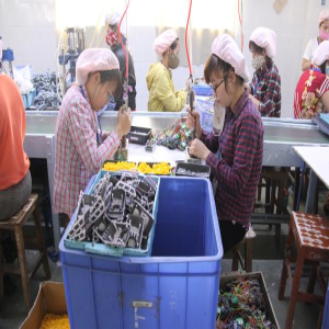 giai-dap-vuong-mac-lien-quan-den-thu-tuc-kiem-tra-chuyen-nganh